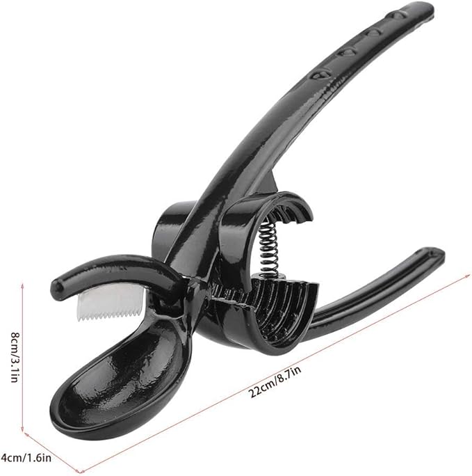 Kastanienknacker Kastanienknacker