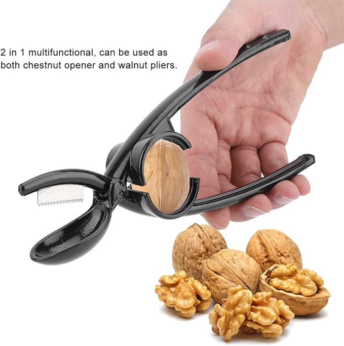 Kastanienknacker Kastanienknacker