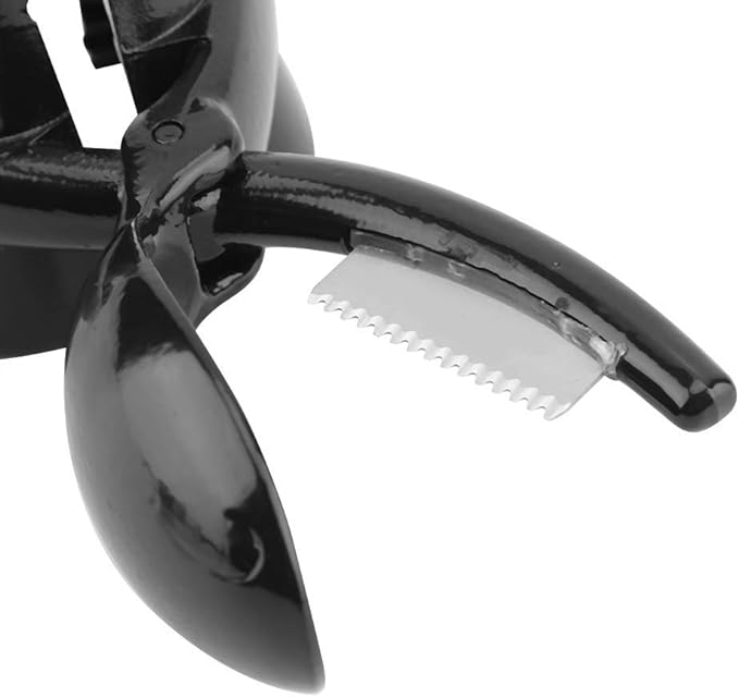 Kastanienknacker Kastanienknacker